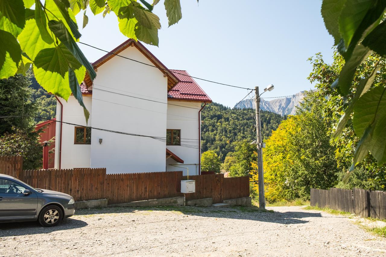 Vila Alma Azuga Exterior photo